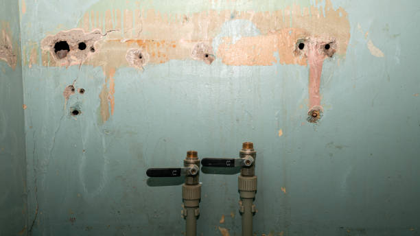 Reliable NH Water damage restoration Solutions