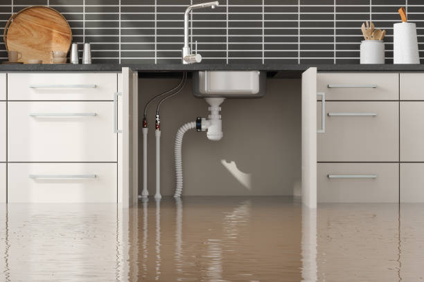 Best Water damage restoration company  in Concord, NH