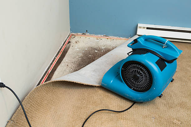 Best Water damage restoration experts  in Concord, NH